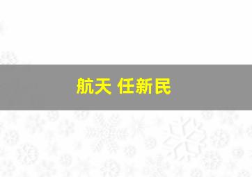 航天 任新民